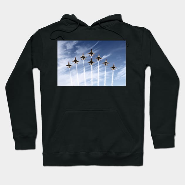 The US Air Force Thunderbirds Hoodie by aviationart